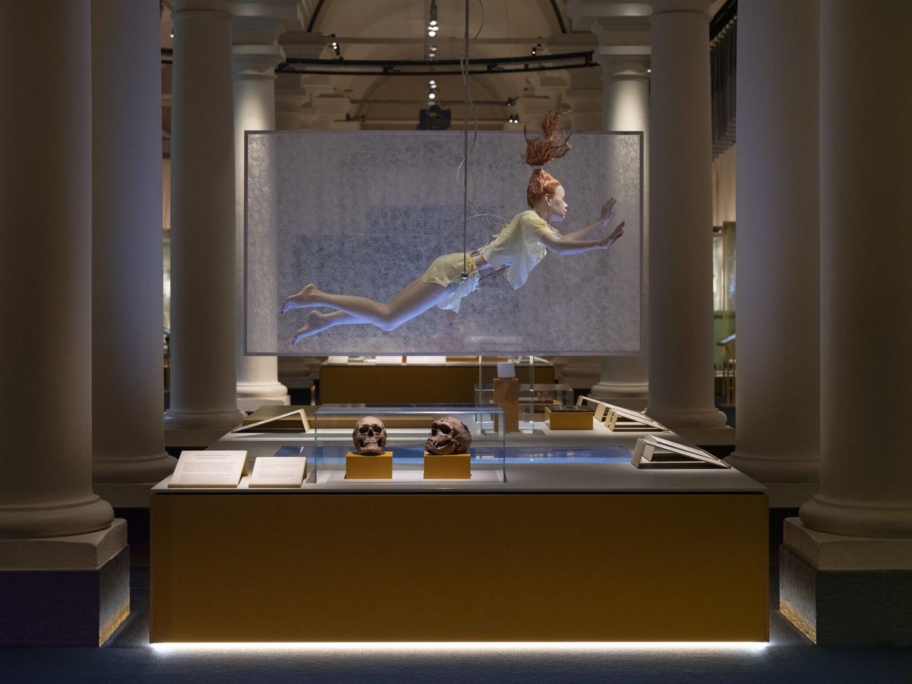 An exhibition hall at the Nobel Prize Museum, a floating figure above a lit display case between columns